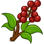 874_90x90